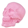 Image de crâne décoratif plastique 18cm rose - 23533