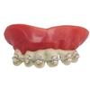 Image de Dentier appareil dentaire taille unique