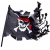 Image de Pavillon Pirate dechire - Noir