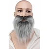 Image de Moustache Et Barbe Raide Grise - Gris