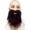Image de Moustache Et Barbe Raide Noire - Noir