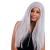 Image de Perruque Cindy long cheveux gris