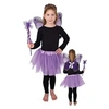 Image de Set déguisement Fée papillon Violet