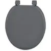 Image de Abattant WC Uni "Vitamine II" 37cm Anthracite