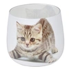 Image de Bougie Anti-Odeurs "Chat" 8cm Blanc