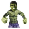Image de Kit accessoires Géant Hulk