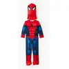 Image de Déguisement - Spider-Man