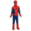 Image de Déguisement enfant Netflix Luxe Spider-Man Taille 5-6 ans