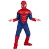 Image de Spider-man - Deguisement Luxe - Taille L 7-8 Ans Pour Enfant