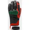 Image de Racer - Racing Pro - Gants ski homme Black Red - L / 9