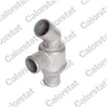 Image de Thermostat D'Eau Calorstat By Vernet Th3310.80 Bmw