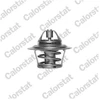 Image de Thermostat D'Eau Calorstat By Vernet Th3319.88j Ford
