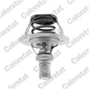 Image de Thermostat D'Eau Calorstat By Vernet Th5284.91j Renault