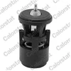 Image de Thermostat D'Eau Calorstat By Vernet Th6274.80j Seat;Volkswagen