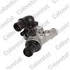 Image de Thermostat D'Eau Calorstat By Vernet Th6554.80j Fiat