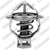 Image de Thermostat D'Eau Calorstat By Vernet Th6851.82 Nissan