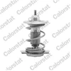 Image de Thermostat D'Eau Calorstat By Vernet Th9780.85 Lada
