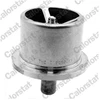 Image de Thermostat, Liquide De Refroidissement Calorstat By Vernet Ths19052.69