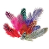 Image de Sachet 10g plumes pintade col. Asst