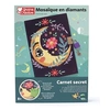 Image de Carnet secret à diamanter