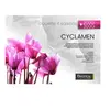 Image de CYCLAMEN 140 X 200 CM