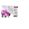 Image de CYCLAMEN 240 X 220CM