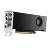 Image de Carte Graphique Nvidia Professional RTX 2000 Ada Generation 16Go