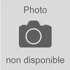 Image de Adaptateur ventouse Aeromax 5 - 296077