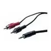 Image de Cordon stéreo jack 3. 5 mm vers 2 x rcam noir - 1,80 m