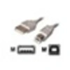 Image de - Câble USB - USB (M) pour USB type B (M) - USB 2.0 - 60 cm