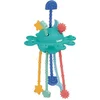 Image de Zippy Activite