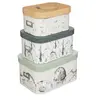 Image de - Lot de 3 Boîtes de Rangement "Forêt" 36cm Multicolore