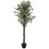 Image de Créateur d'intérieur - Plante Artificielle "Ficus" 180cm Vert
