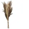 Image de Créateur d'intérieur - Bouquet de Fleurs Séchées "Pampa" 58cm Naturel