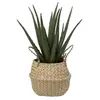 Image de Créateur d'intérieur - Plante Artificielle & Pot "Aloe Vera" 37cm Vert