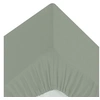 Image de Créateur d'intérieur - Drap Housse 2 Personnes "Percale" 160x200cm Vert Tilleul