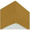 Image de Créateur d'intérieur - Drap Housse 2 Personnes "Percale" 180x200cm Mordoré