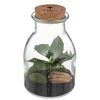 Image de Créateur d'intérieur - Terrarium en Verre "Bota" 19cm Transparent