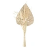 Image de Créateur d'intérieur - Mini Bouquet de Fleurs Naturelles Seav 30cm Beige