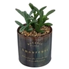 Image de Créateur d'intérieur - Plante Artificielle en Pot Déco Bota 14cm Noir