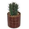 Image de Créateur d'intérieur - Plante Artificielle en Pot Déco Bota 14cm Marron