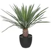 Image de Créateur d'intérieur - Palmier Artificiel en Pot "Rivi" 52cm Noir & Vert