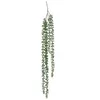 Image de Créateur d'intérieur - Plante Tombante Déco "Séneçon" 37cm Vert