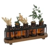 Image de Créateur d'intérieur - Lot de 5 Soliflores en Verre "5 Fleurs" 27cm Transparent