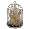 Image de Créateur d'intérieur - Fleurs Séchées Déco "Cage" 20cm Gris
