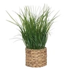 Image de Atmosphera Créateur d'intérieur - Plante Artificielle en Pot Herbe 70cm Beige