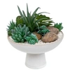 Image de Créateur d'intérieur - Composition de Plantes Artificielles "Soleya" 20cm Blanc