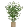 Image de Créateur d'intérieur - Bambou Artificiel en Pot Ly 150cm Vert