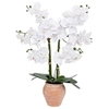 Image de Créateur d'intérieur - Orchidée Artificielle en Pot "Dena" 65cm Blanc