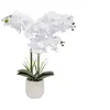 Image de Créateur d'intérieur - Orchidée Artificielle en Pot "Riva" 60cm Blanc
